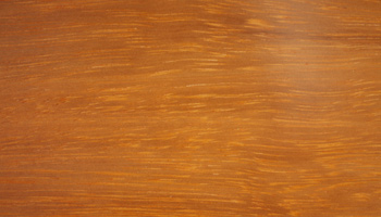 Iroko