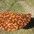 Table basse en mosaïque de cubes de bois